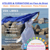A4 ateliers voix libres lct avs 1t2026 27