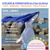A4 ateliers voix libres lct avs 1t2026 28