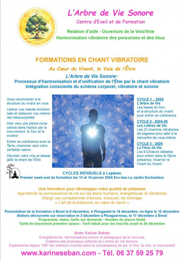 Affiche presentation formation r