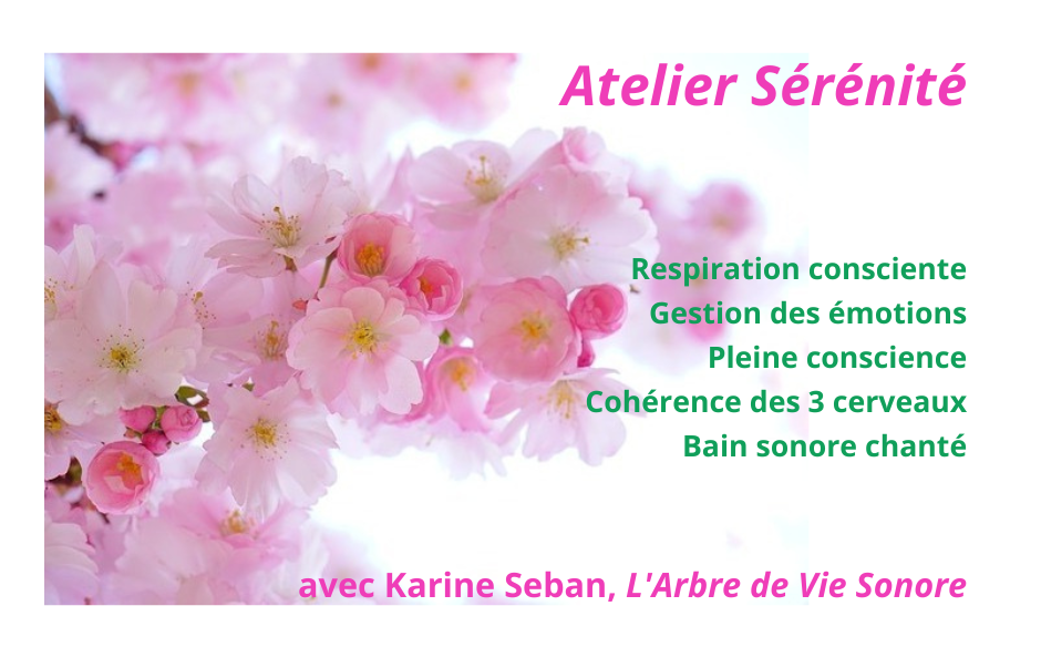 Atelier serenite 2025 26