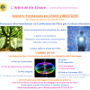 Ateliers formations chant vibratoire arbre de vie avril 2024