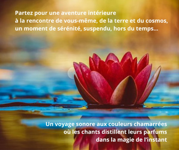 Bain sonore cleden cap sizun 2 10 mars 2025