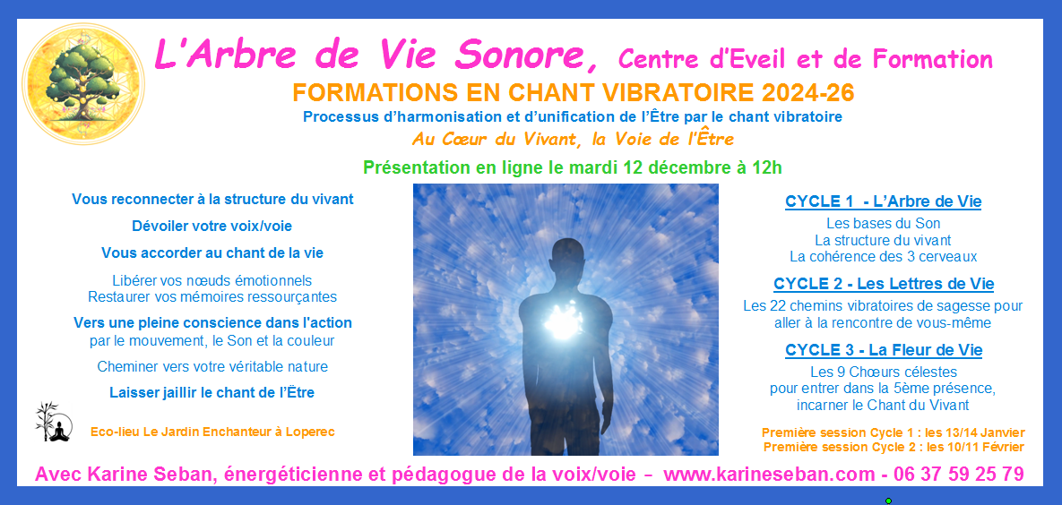 Fb formation avs presentation en ligne