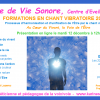 Fb formation avs presentation en ligne