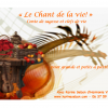 Flyer pour affiche le chant de la vie