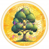 L arbre de vie sonore logo maj 2023
