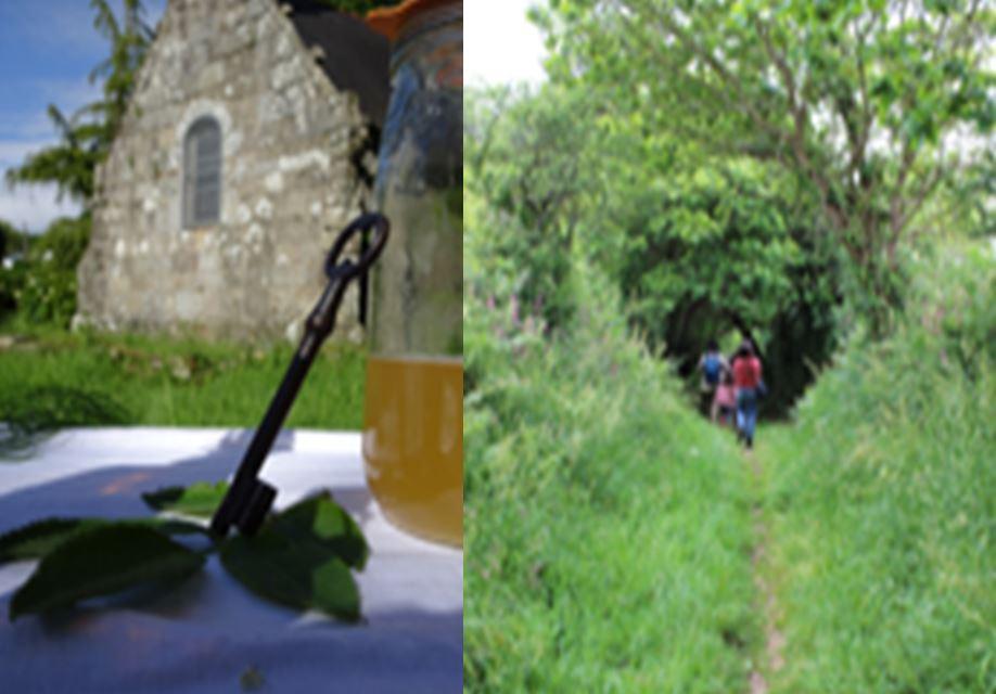 Traon chapelle et bois